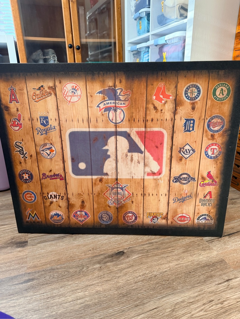 Major League Baseball Canvas